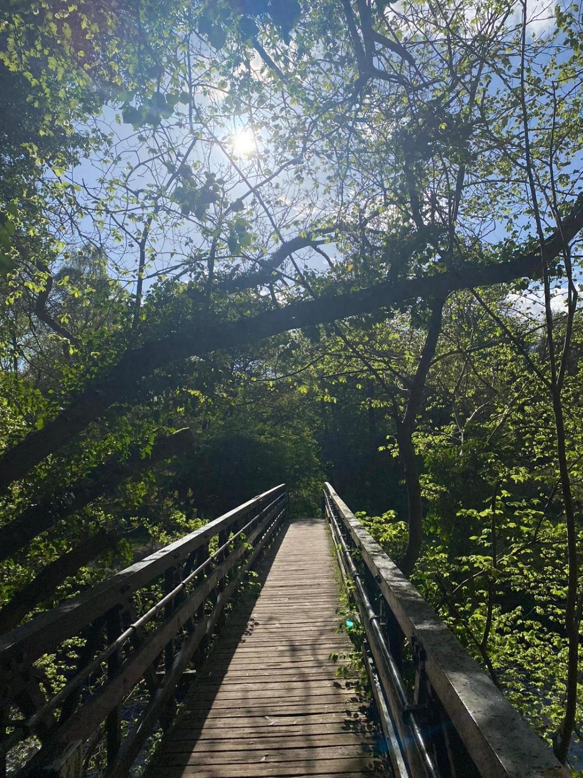 Lovely Countryside Getaway 로슬린 외부 사진